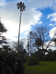 Blick vom Albert Park auf den Tower