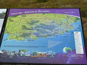The Catlins