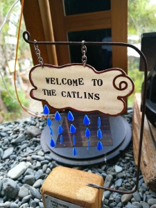 Willkommen in den (regnerischen) Catlins