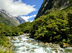 Auf dem Weg zum Milford Sound