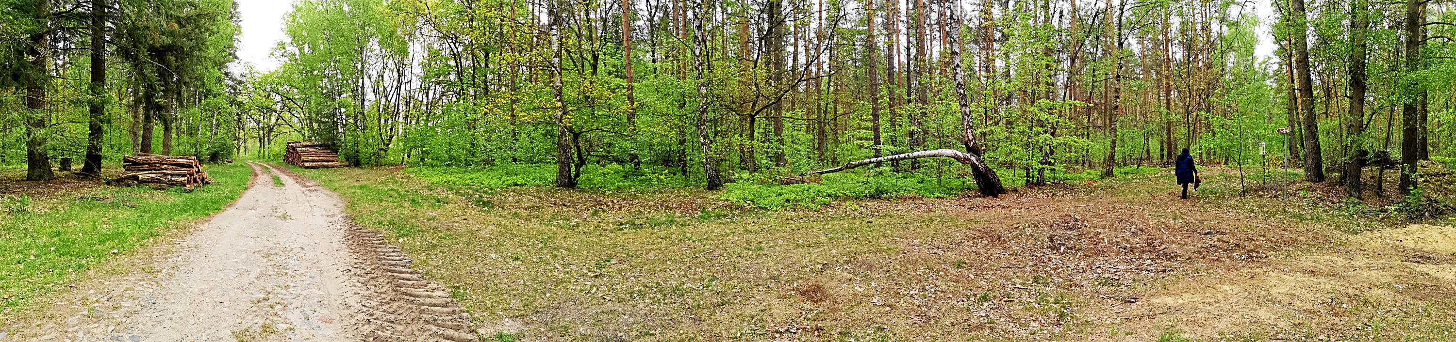 Vom Luch nach Dannenwalde