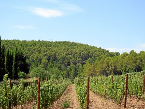 Chateau de Berne
